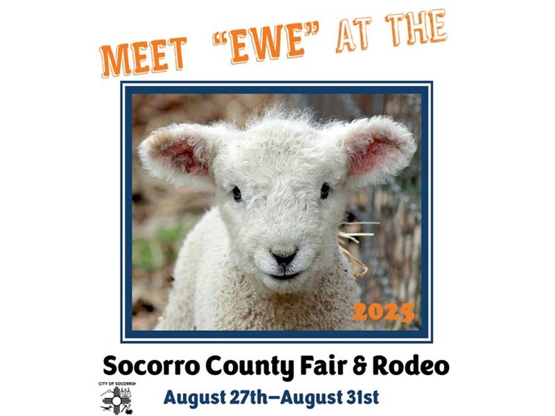 Fair Logo